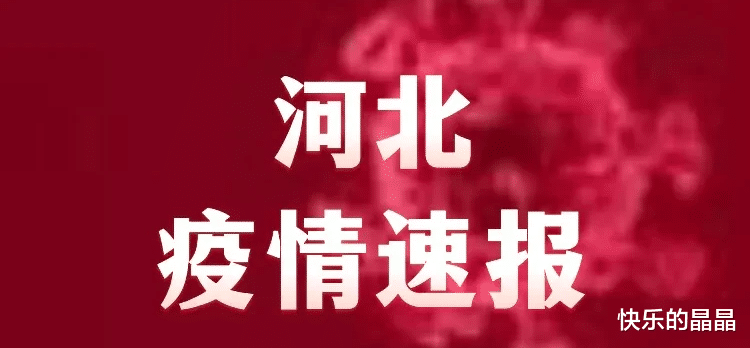 河北最新疫情通报,今天的热点,咱们聊点实在的 河北最新疫情通报,今天的热点,咱们聊点实在的