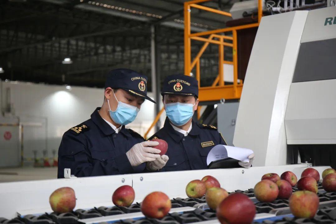 中国服务进出口总额同比增长14%这数字背后藏着什么？