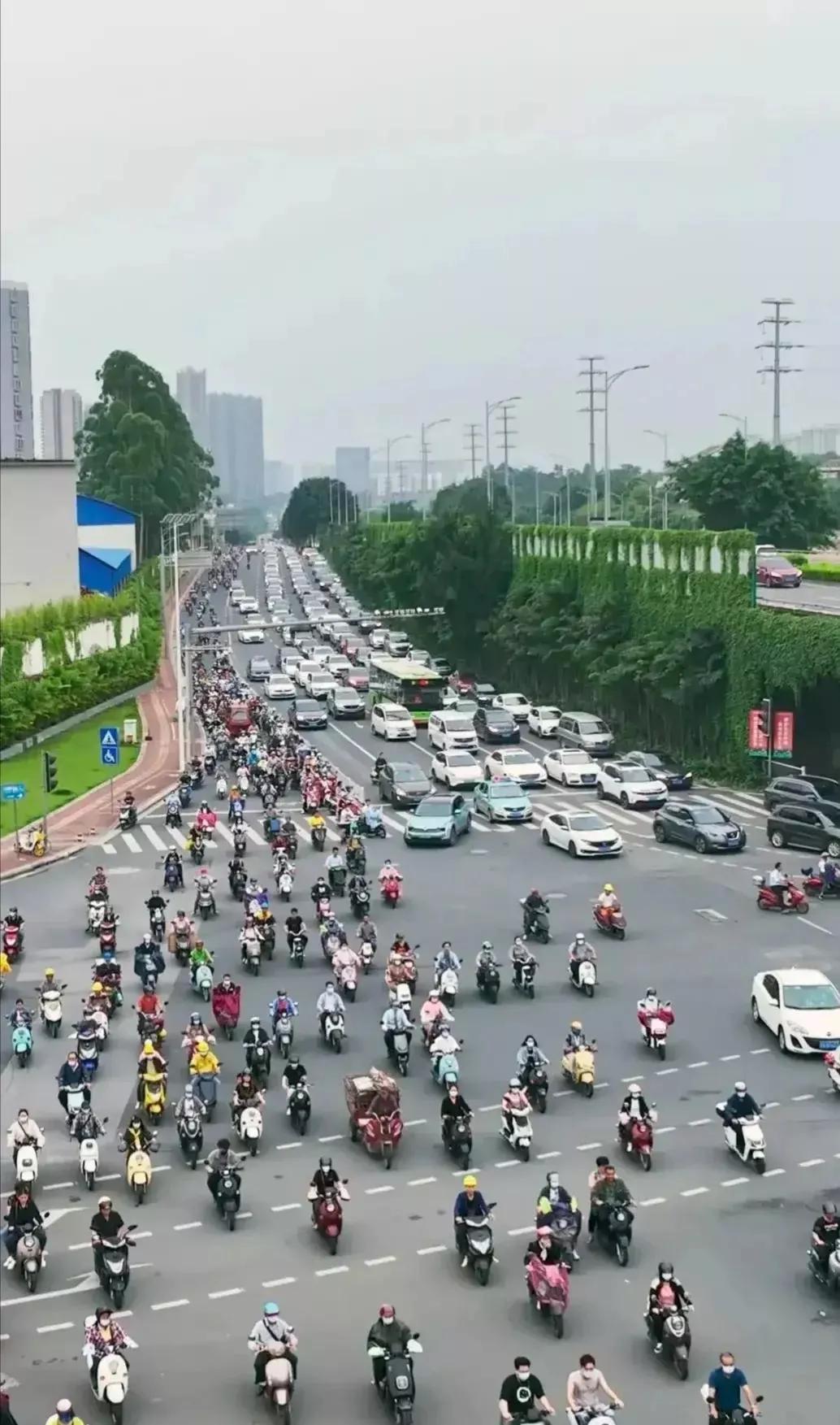电动车突然嘀一声,她吓得差点把手机扔了,为什么我们会被这些声音吓到? 电动车突然嘀一声,她吓得差点把手机扔了,为什么我们会被这些声音吓到?